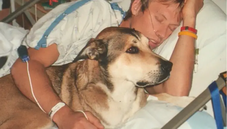 Tribute to Denali: Hund und Herrchen im Kampf gegen Krebs