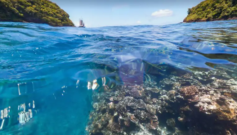 Unterwasser-Street-View: Abtauchen mit Google