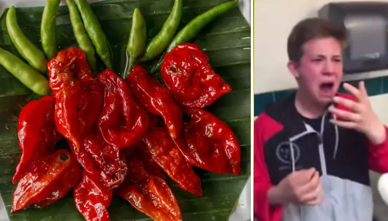 Ghost Chili: Irre Challenge um die schärfste Schote der Welt