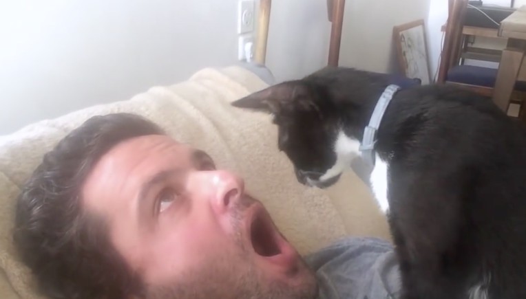 Dr. Cat: Dieser Zahnarzt ist einfach tierisch