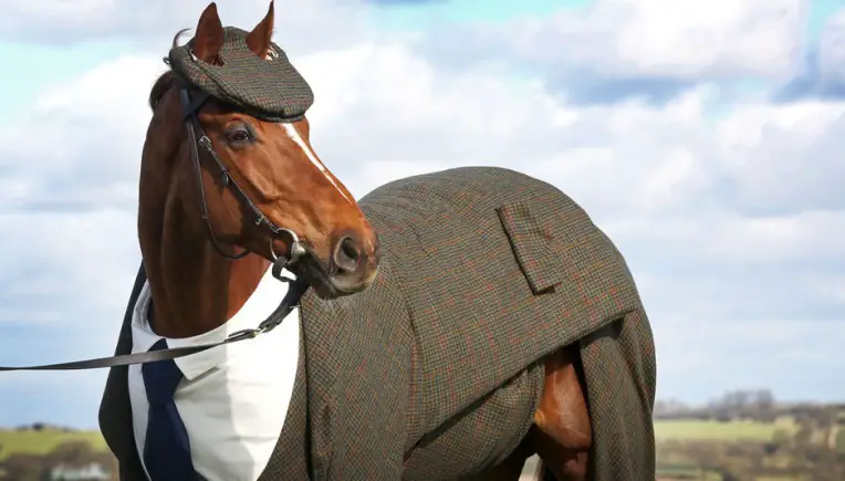 Horsing Around: Habt ihr schon einmal ein Pferd im Anzug gesehen?