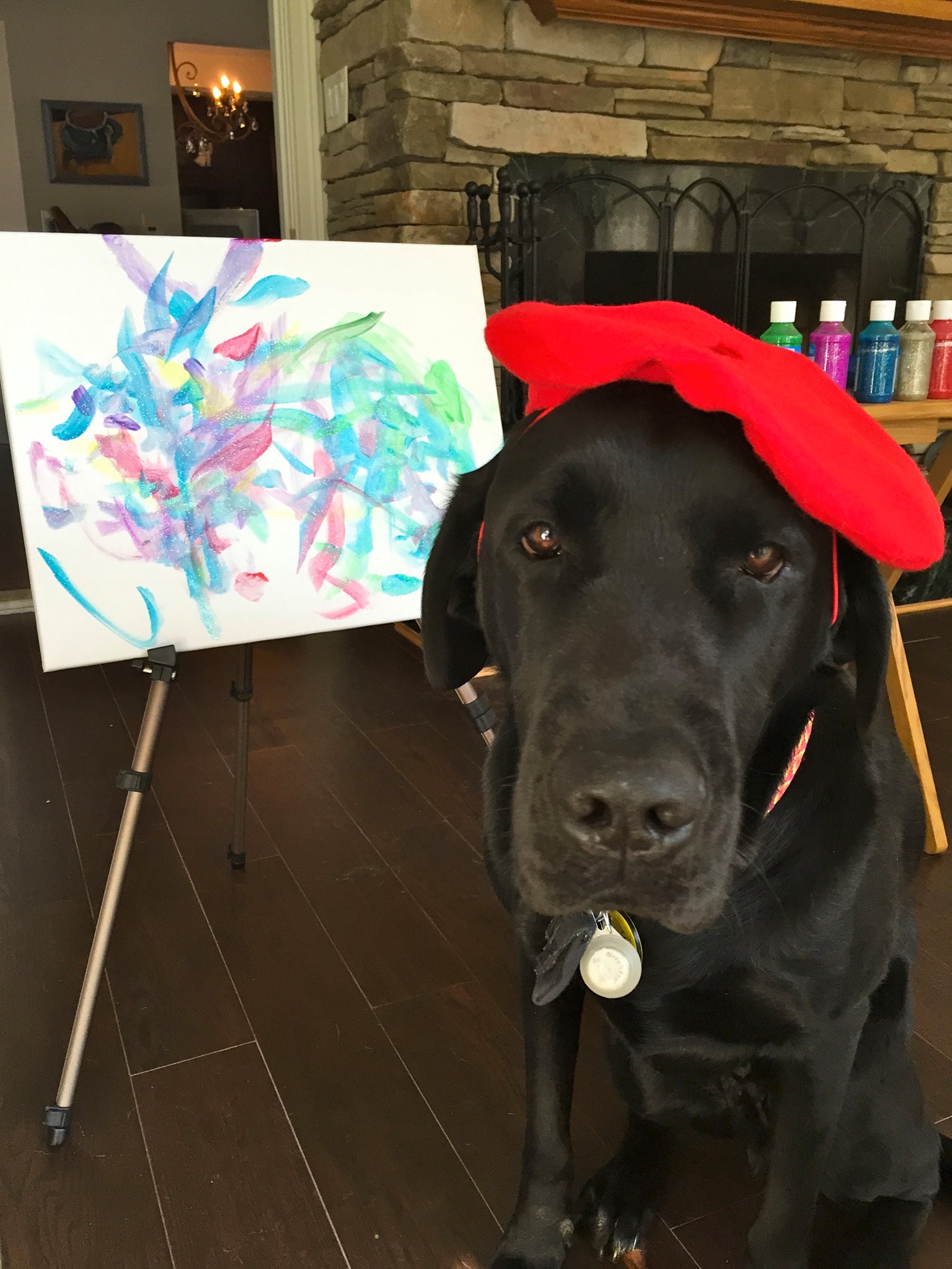 DogVinci Dieser Hund ist ein wahrer Künstler webrazzia