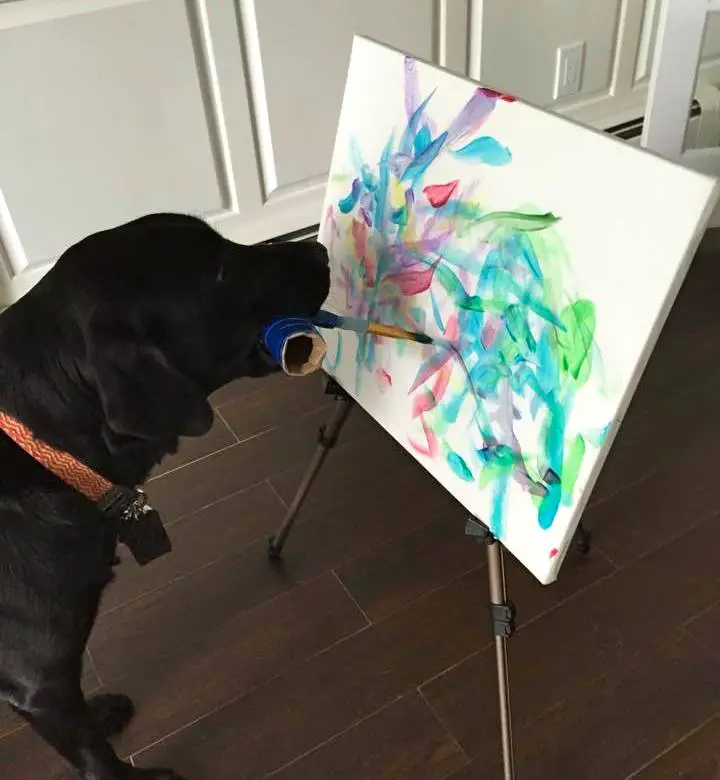 Malender Hund