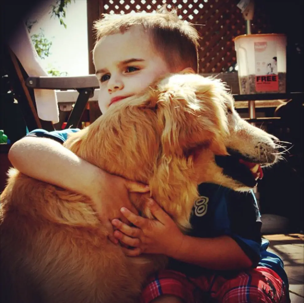 © The K9 Way / Caters News