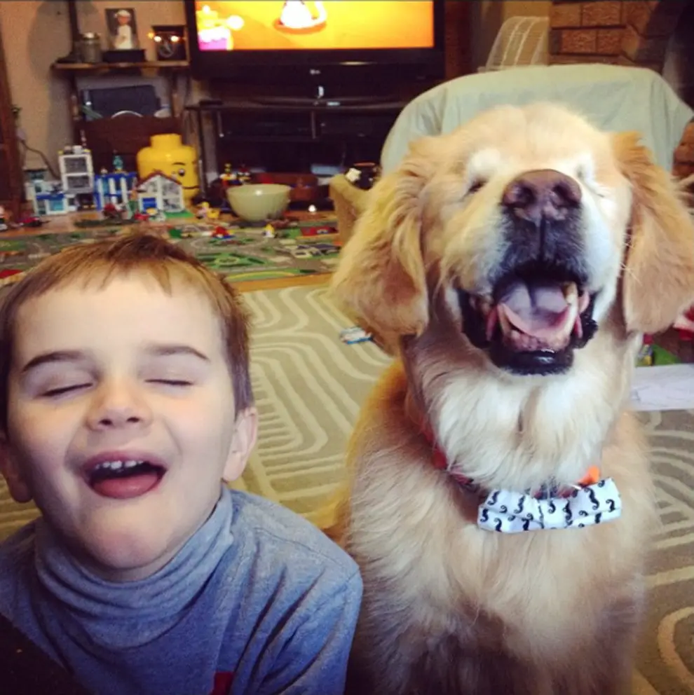 © The K9 Way / Caters News