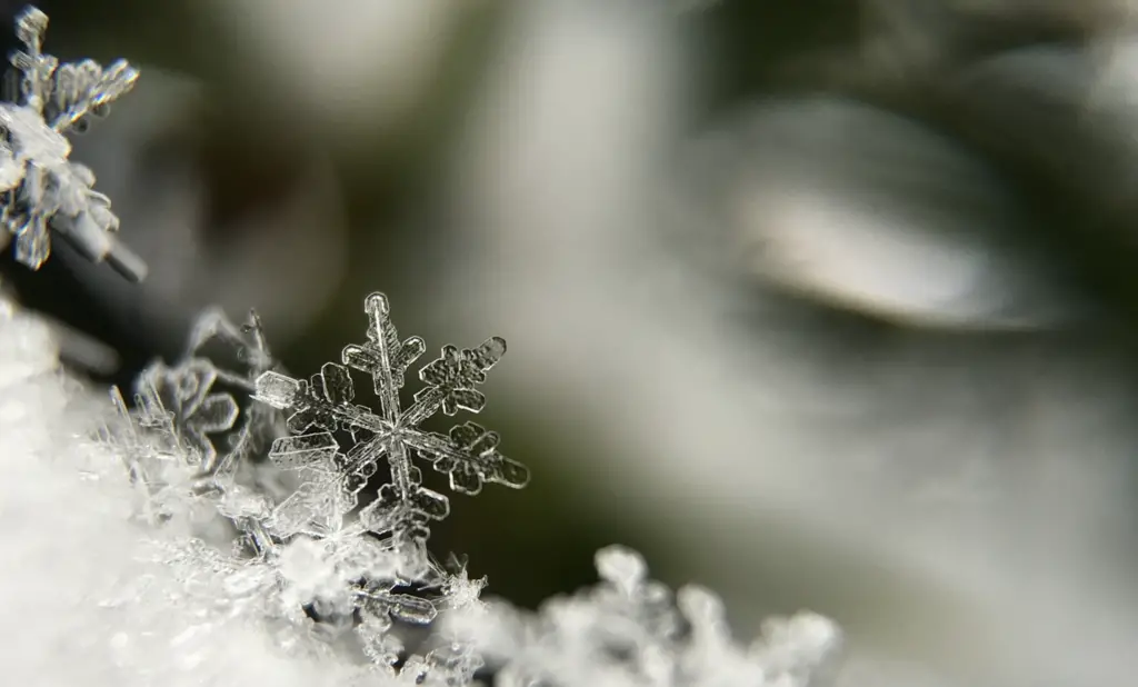 Schnee Wissen Wie Gross Sind Schneeflocken Webrazzia